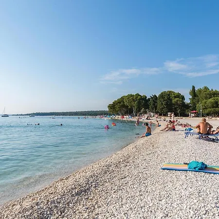 Beautiful In Apartament